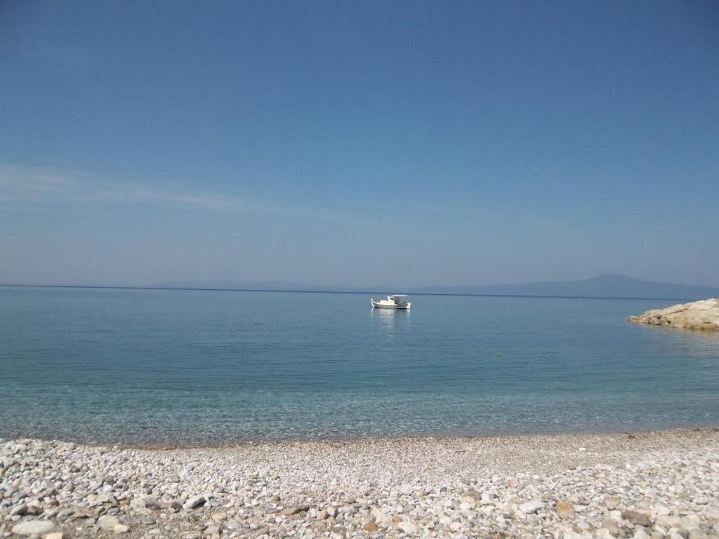 Amber Seaview Villa By The Olive Groves Каламата Екстериор снимка